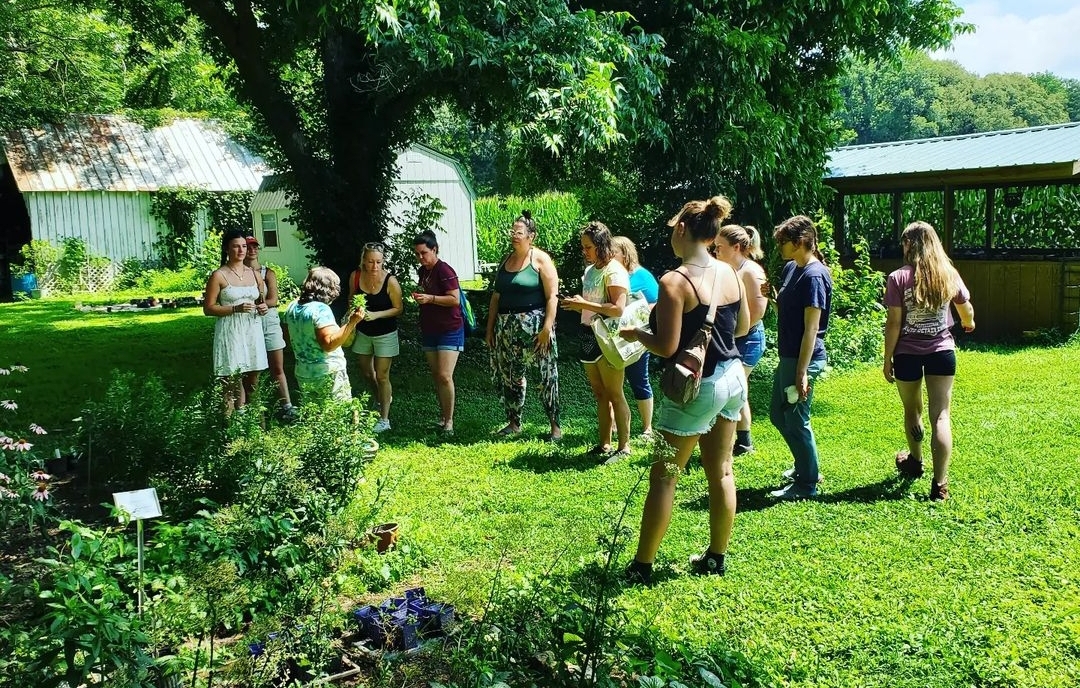 Foragers at Wild Wood Farms